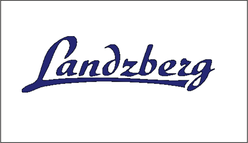 Logo PellasX - producent palnikow na pellet